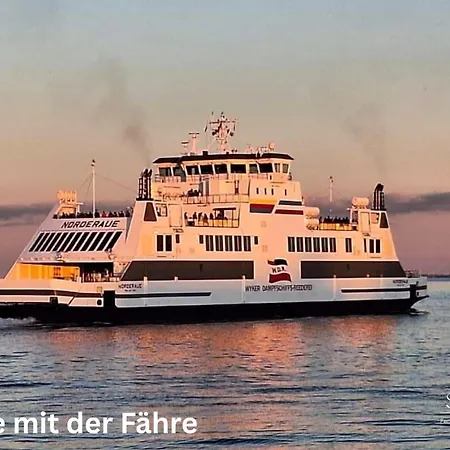 Möwennest